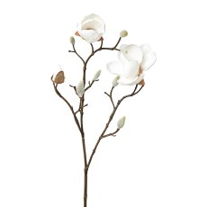 Magnolia, 53 cm, White