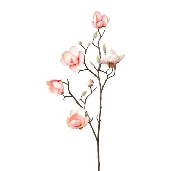 Magnolie, 78cm, rosa