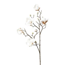 Magnolia, 78cm, white