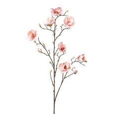 Magnolie, 113 cm, rosa