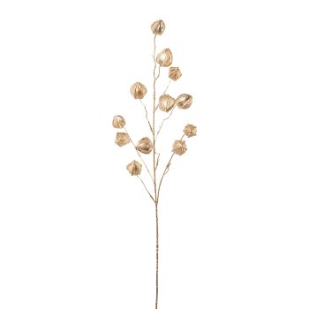Physaliszweig, metallic, 90 cm, champagner