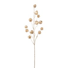 Physaliszweig, metallic, 90 cm, champagner