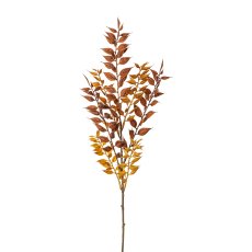 Ruscus branch, 50 cm, brown