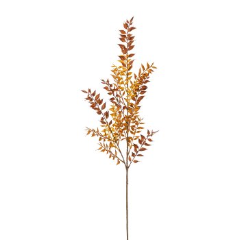 Ruscuszweig, 93cm, braun