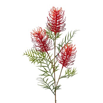 Grevillea branch, 83cm, red