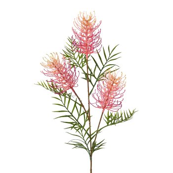 Grevillea branch, 83cm, pale pink