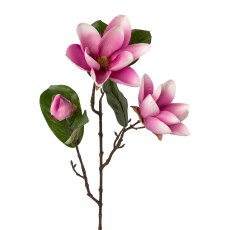 Magnolie, 68 cm, pink