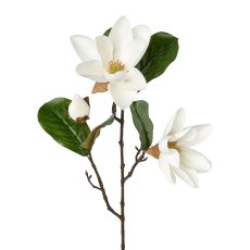 Magnolie, 68 cm, weiß