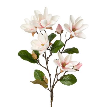 Magnolie, 90cm, hellrosa