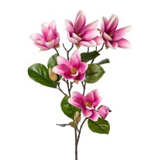 Magnolia, 90 cm, pink
