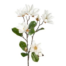 Magnolia, 90 cm, white