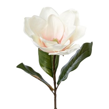 Magnolia, giant, 68cm, light pink