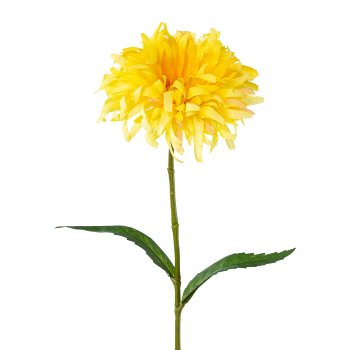 Spider gerbera, 43cm, yellow