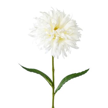 Spider Gerbera, 43cm, white