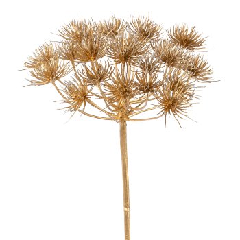 Heracleum branch, 78cm, gold,