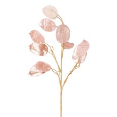Pfennigblattzweig, 55 cm, rosa,