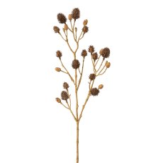 Thistle branch, 55cm, brown,