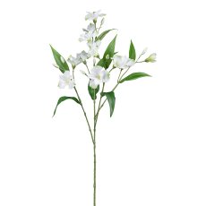 Astromeria, 63 cm, weiß