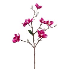 Magnolia, 63 cm, cerise
