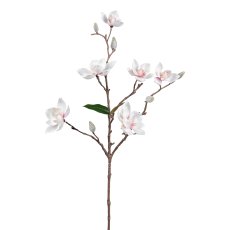 Magnolia, 63 cm, pink