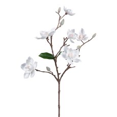 Magnolia, 63cm, white