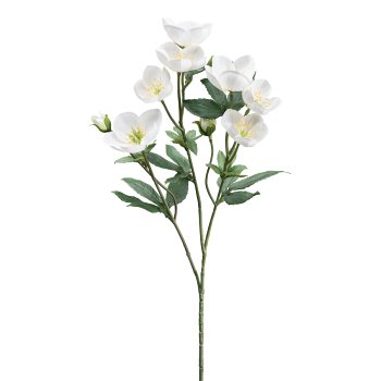 Christmas rose branch, 58cm, white