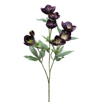 Christmas rose branch, 58cm, eggplant