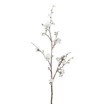 Quince branch, 90cm, frost