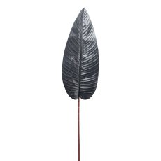 Strelizia leaf, 98cm, black