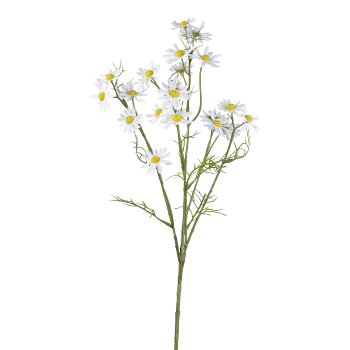 Camomile, 73cm, white