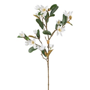Magnolie, 83cm, weiß