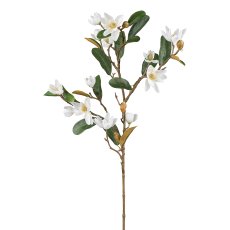 Magnolie, 83 cm, weiß