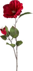 Trumpet flower,79cm, ruby