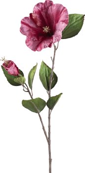 Trompetenblume, 79cm, dunkelrosa