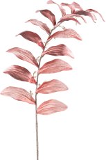 Solomon's seal, 120cm, dark pink