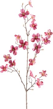 Cornus, 87cm, dark pink