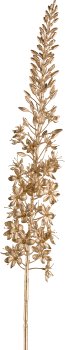 Eremurus, 106cm, gold