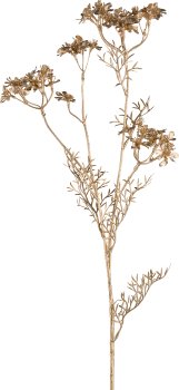 Daucus, 87cm, gold