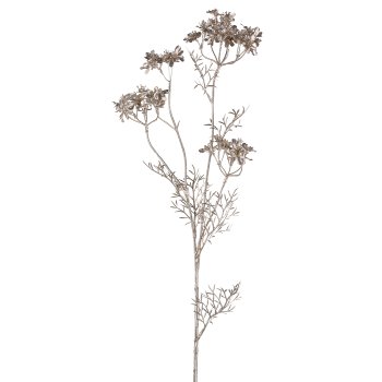 Daucus, 87cm, champagner