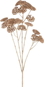 Achillea, 73cm, natural