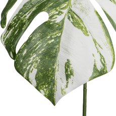 Split philo leaf, 78.7cm, white