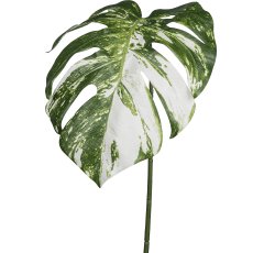Split philo leaf, 78.7cm, white