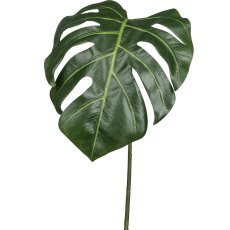 Split philo leaf, 78.7cm, green