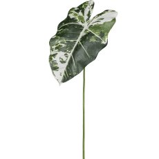 Alocasia leaf, 58.4cm, white