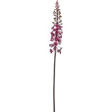 Eremurus, 88,9cm, pink