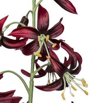 Wildlilienzweig, 81,2cm, dunkelrot