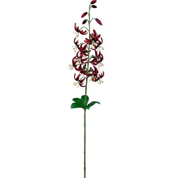 Wildlilienzweig, 81,2cm, dunkelrot