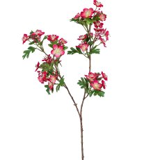 Hawthorn branch, 71.1cm, dark pink