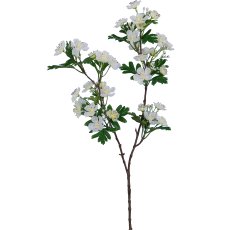 Hawthorn branch, 71.1cm, white