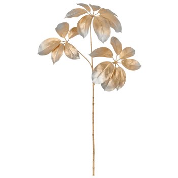 Schefflerazweig, 74cm, champagner